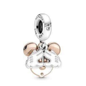 Pandora charms